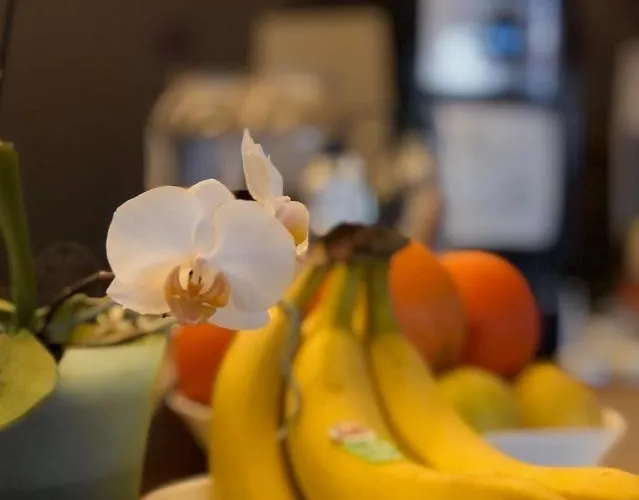 肯克乐德酒店 酒店 3*